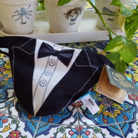 Donating!! Tux or Diamond 💎 Necklace Doggy Dress-Up & Toy - Picture 2 of 8